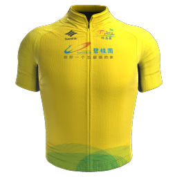 Maillot Leader