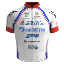 Shirt Androni Giocattoli - Serramenti PVC Diquigiovanni 2010