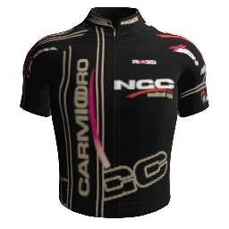 Shirt CarmioOro - NGC 2010