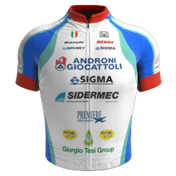 Shirt Androni Giocattoli - Serramenti PVC Diquigiovanni 2011