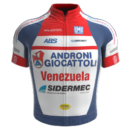 Shirt Androni Giocattoli - Sidermec 2015