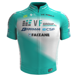 Shirt VF Group-Bardiani CSF-Faizanè 2024