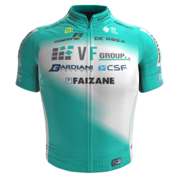 Shirt VF Group - Bardiani CSF - Faizanè 2025 - © pcmmod.com